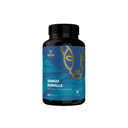 Duma Nutrition Sango Koralle