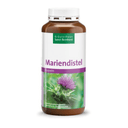 Sanct Bernhard Mariendistel