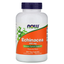 Now Echinacea