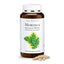 Sanct Bernhard Moringa