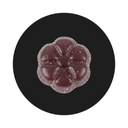 Alpinboost M-Alpha Gummies