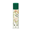 Olive Oil