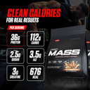 VAST Pro Mass