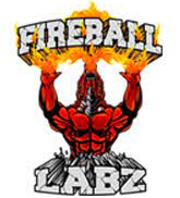 Fireball Labz Logo